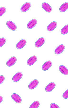 Pop Art Surreal Style Purple Pink and Cobalt Blue Half Cut Fresh Watermelons in Diagonal Rows