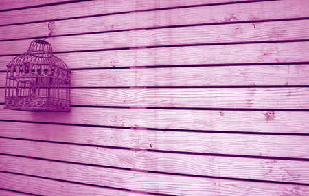 Orchid Purple Colored Grunge Wooden Fence with an Empty Bird Cageの写真素材