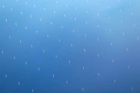 Bird's eye view of the offshore wind farm of United Kingdom seen from plane during flight