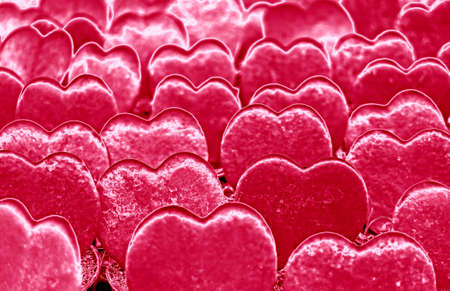 Pop Art Surreal Style Metallic Silver Colored Rows of Sweetheart Valentine Hoya Plantsの写真素材