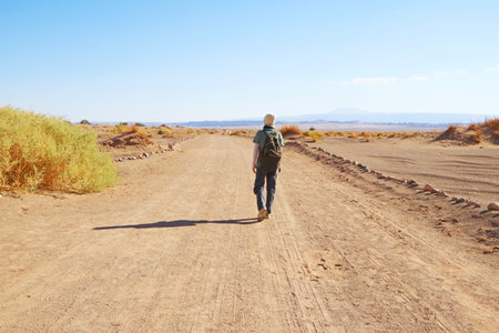 Traveler Walking on the Desert Road of Aldea de Tulor Archaeological Site in Atacama Desert,...