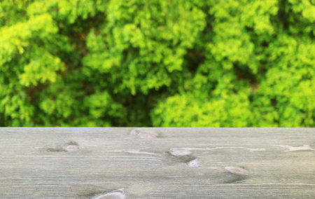 Closeup of wooden table top with blurry green tree foliage in the backdropの写真素材