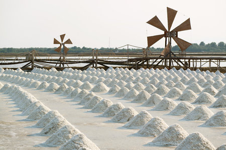 Amazing Salt Farm with Hand Harvested Raw Salt Piles in Petchaburi Province of Thailandの写真素材