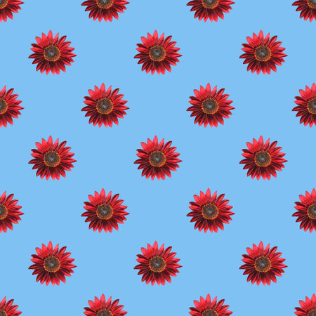 Seamless Pattern of Blossoming Red Sunflowers on Sky Blue Backdropの写真素材