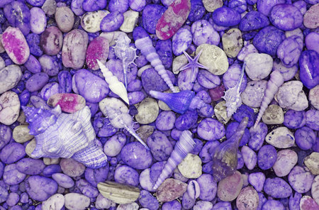 Pop Art Surreal Style of Gradient Blue and Purple Pebble Stones with Tiny Seashellsの写真素材