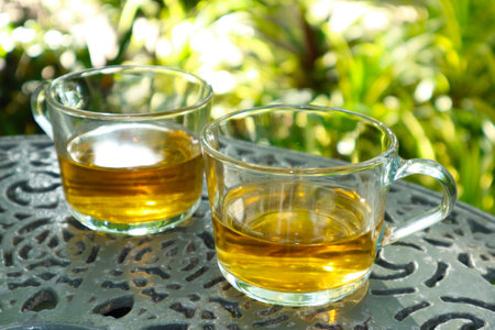 Two Half Glasses of Tea on the Garden Table During the Teatimeの写真素材