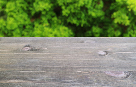 Closeup of wooden table top with blurry green tree foliage in the backdropの写真素材
