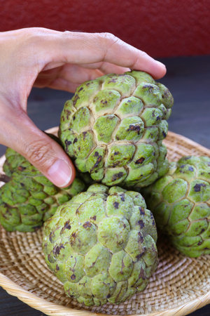 Heap of Ripe Organic Sugar Apples (Annona Squamosa) Whole Fruits in a Basket