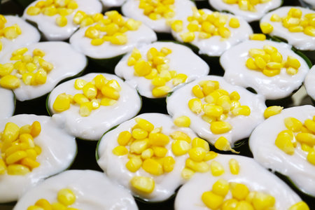 Rows of Khanom Tako, Delicious Thai Traditional Two Layered Pudding of Coconut Milk and Tapioca or Sagoの写真素材