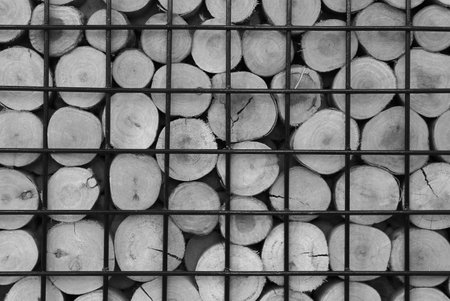 Monochrome image of cut log woods stacks in a metal cageの写真素材