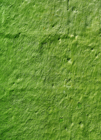 Artistic Green Rough Stone Wall for Backdrop or Bannerの写真素材