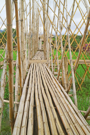 Bamboo bridge over the paddy field of Thailand's northern regionの写真素材
