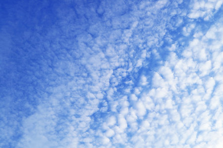 Beautiful White Altocumulus Clouds Scattered across Vibrant Blue Sky