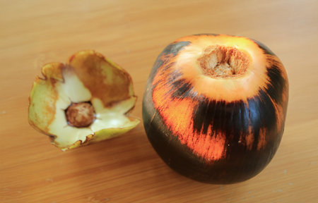 Closeup of a Ripe Palmyra Palm or Toddy Palm Fruit