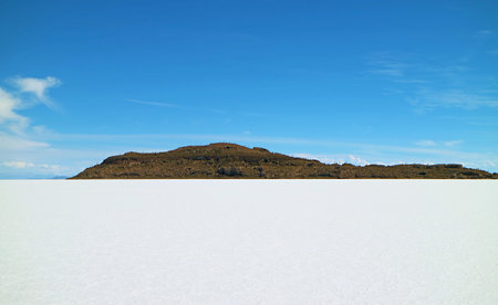 Amazing Rocky Outcrop in the middle of Uyuni Salt Flats Known as Isla del Pescado or Isla Incahuasi with Uncountable Giant Cactus Plants, Bolivia, South Americaの写真素材