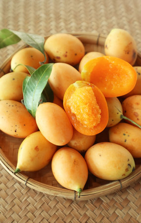 Mouthwatering Juicy Fresh Ripe Marian Plum Fruits Called Mayongchid in Thailandの写真素材