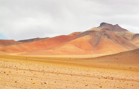 Stunning Mountain View of Andean Plateau in Potosi Department of Bolivia, South Americaの写真素材