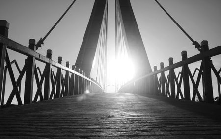 Architectural silhouette of suspension bridge reaching to luminous sunlitの写真素材