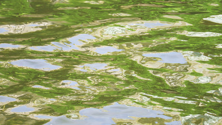 Artistic water ripples reflecting the green foliage and blue sky