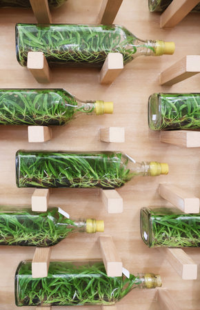 Orchid flasks, each contains 35-45 orchid seedlings encased in a sterile environment with nutrient...