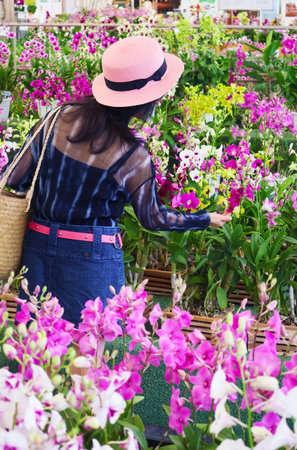 Woman Shopping in a Flower Market with Uncountable Gorgeous Blooming Orchids Everywhereの写真素材