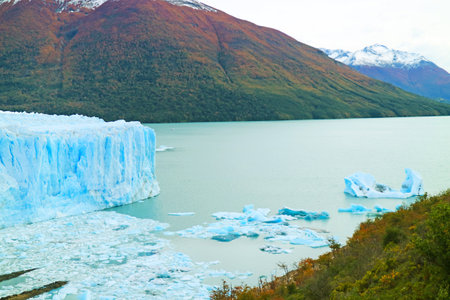 Perito Moreno Glacier in Fall Foliage, Stunning UNESCO World Heritage Site in Santacruz Province of Argentina, Patagonia, South Americaの写真素材