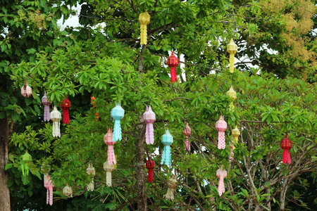 Large Tree in the Temple Courtyard Full of Colorful Yee Peng Lanterns, Nan Province, Northern...
