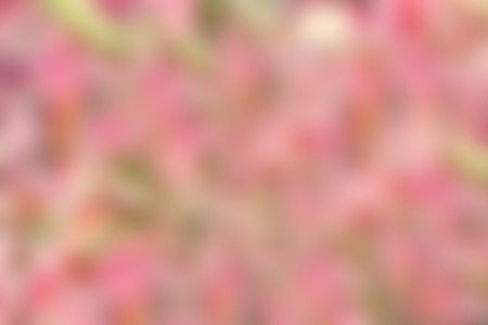 blur abstract background の写真素材