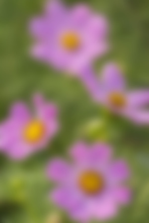 blur abstract background の写真素材
