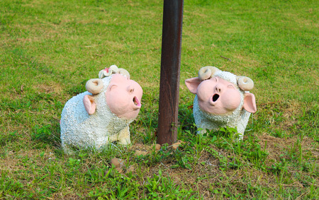 pig clay doll on green の写真素材