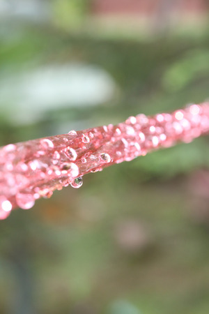 plastic rope rainy の写真素材