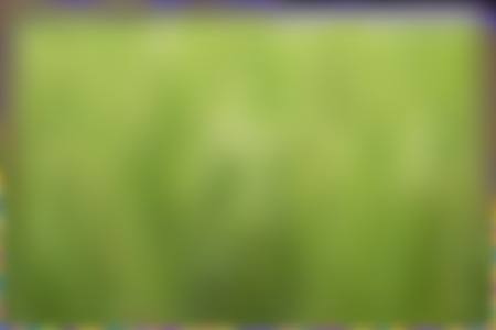 blur abstract background green color の写真素材