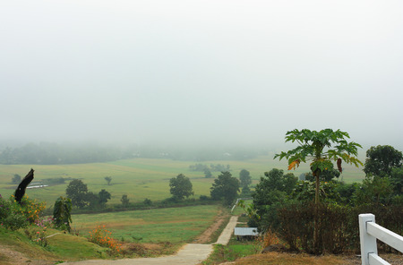 City in the fog at morning の写真素材