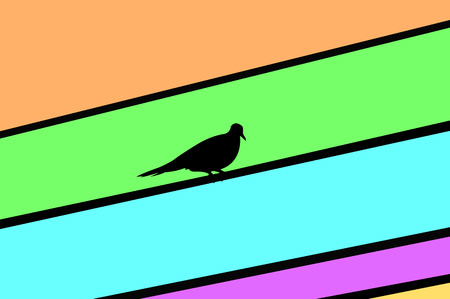 bird on electric cable on color background の写真素材