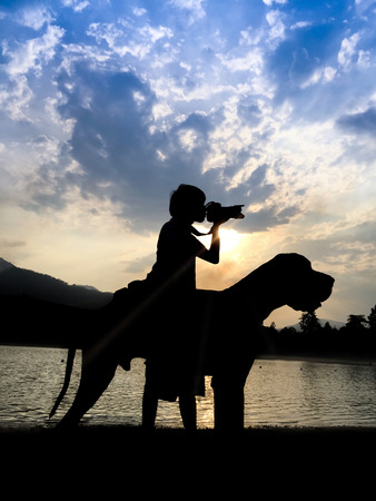 Young man with great dane at sunset.の写真素材