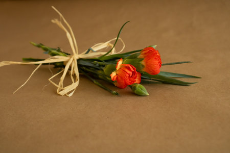 Red carnation on vintage background.の写真素材