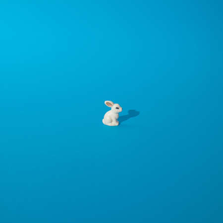 White easter bunny on blue background.の写真素材