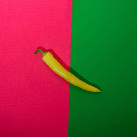 Fresh hot peppers on a colorful background.Minimal summer fun concept.の写真素材