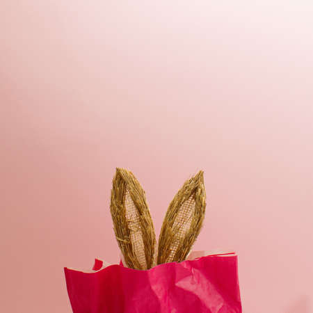 Bunny Rabbit ears in a gift on a pink pastel background.Easter minimal concept.の写真素材