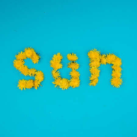 The word Sun of flowers. Minimal creative concept.の写真素材