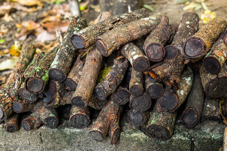 Firewood on Garden