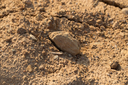 soil nugget, soil clod, soil lump, soil chunkの写真素材