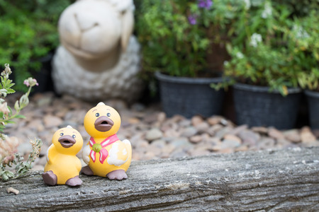 Yellow Two ducks on the garden houseの写真素材