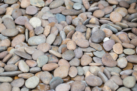 Stones on the seashore