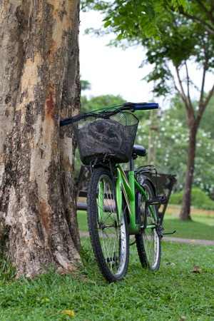 One Bicycle in the park の写真素材