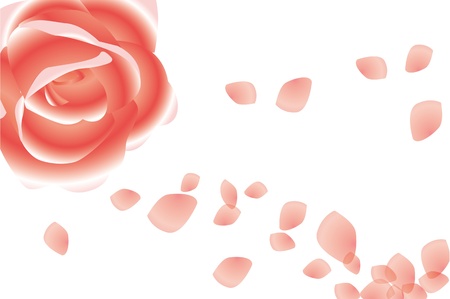 roseのイラスト素材