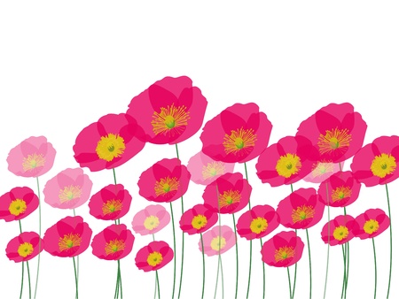 Row of poppy flowersのイラスト素材