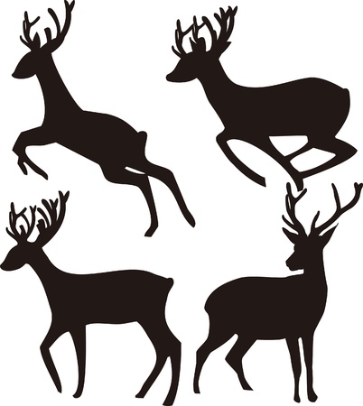 Deer Silhouette on white backgroundのイラスト素材