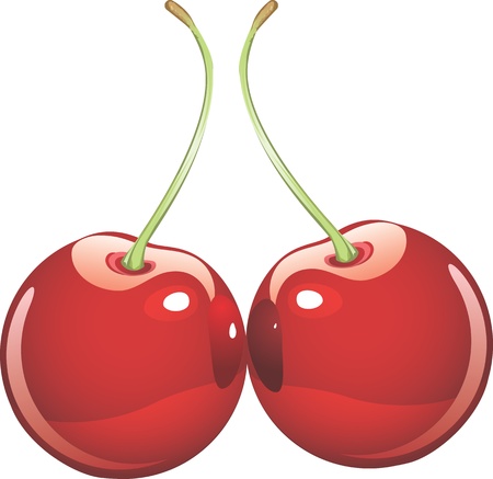two isolated red cherries のイラスト素材