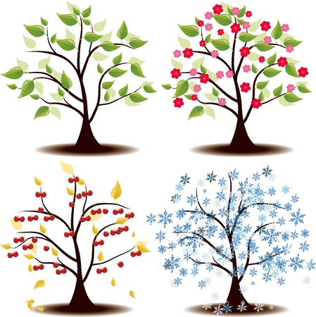 Four Seasons state's cherry treeのイラスト素材